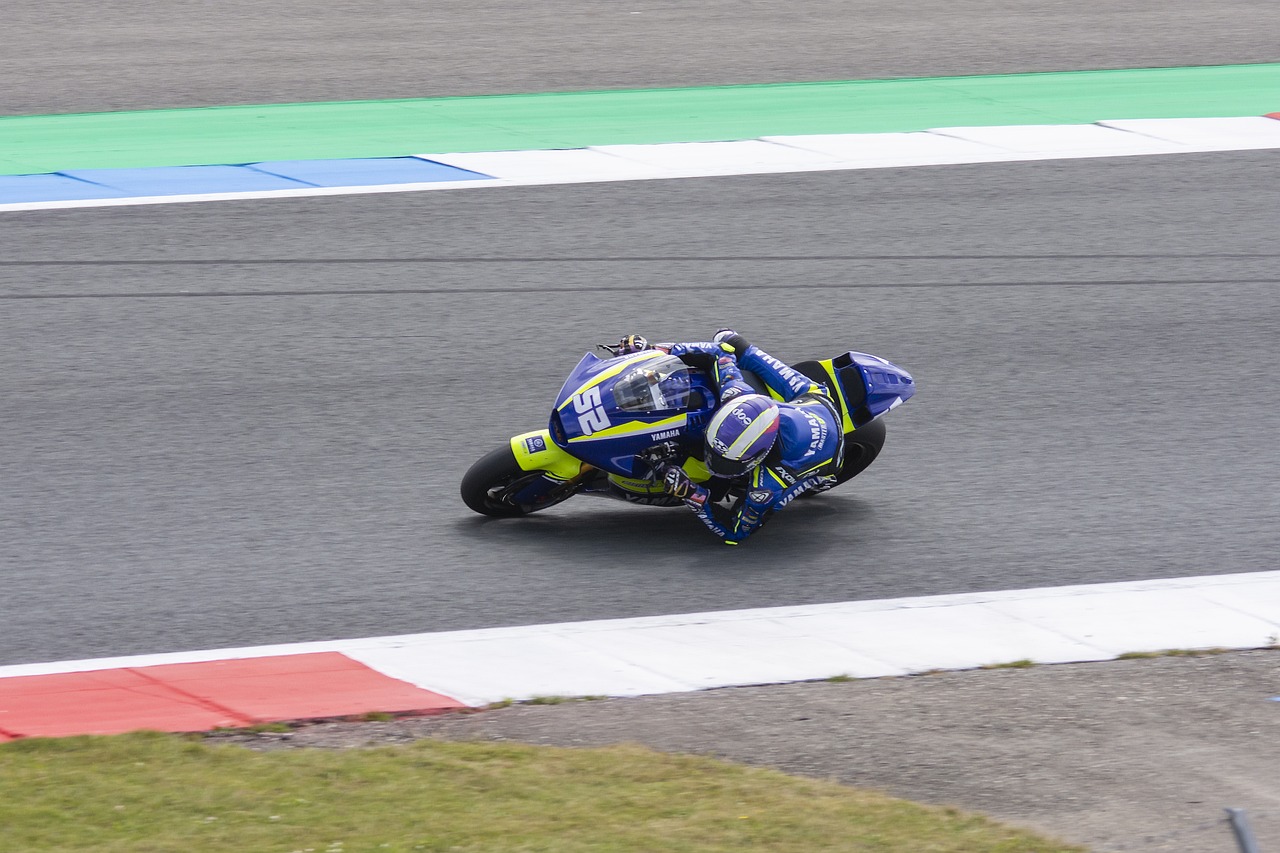 畏与顽强的 畏与顽强的