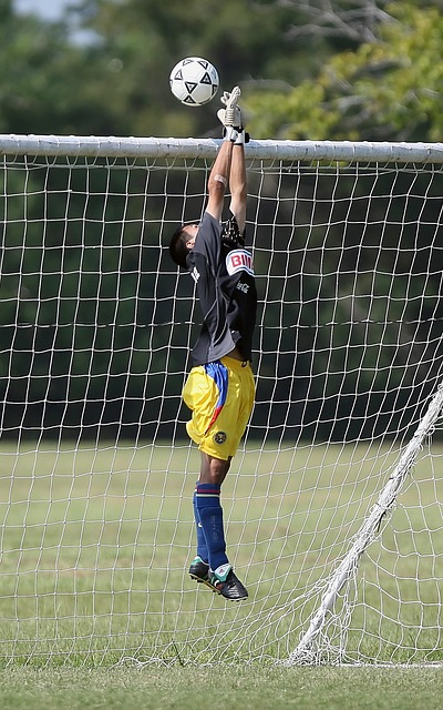 如鱼得水 如鱼得水